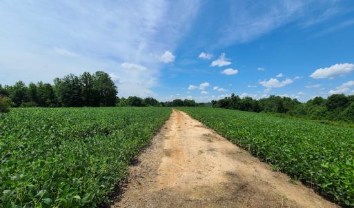 Photo #25 of SOLD property in 1074 Coon Trail, South Boston, VA 253.0 acres