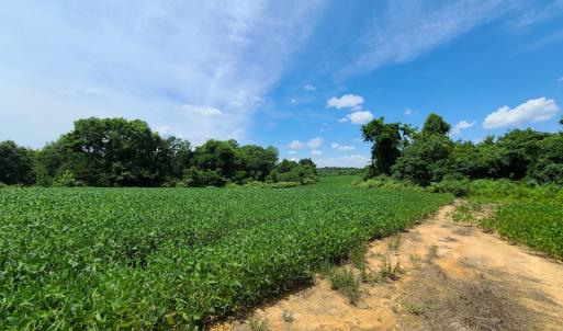 Photo #26 of SOLD property in 1074 Coon Trail, South Boston, VA 253.0 acres
