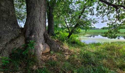 Photo #27 of SOLD property in 1074 Coon Trail, South Boston, VA 253.0 acres
