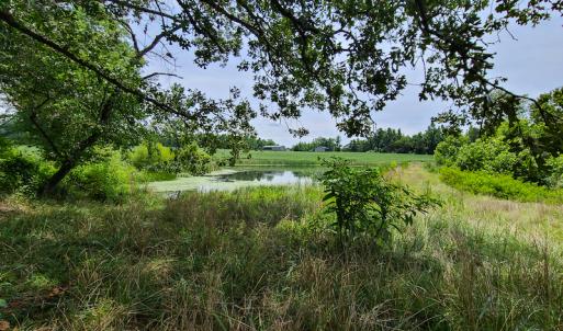 Photo #28 of SOLD property in 1074 Coon Trail, South Boston, VA 253.0 acres