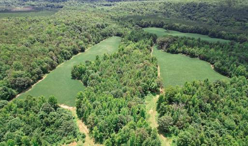 Photo #29 of SOLD property in 1074 Coon Trail, South Boston, VA 253.0 acres
