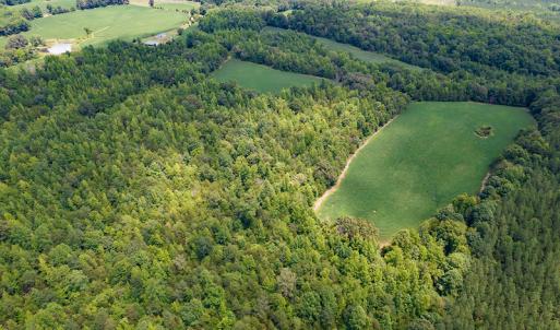 Photo #31 of SOLD property in 1074 Coon Trail, South Boston, VA 253.0 acres