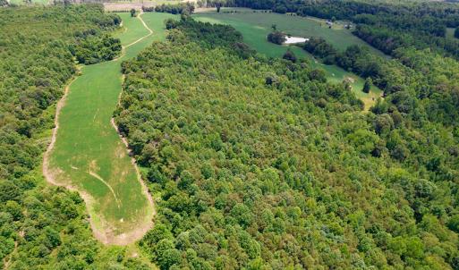 Photo #34 of SOLD property in 1074 Coon Trail, South Boston, VA 253.0 acres