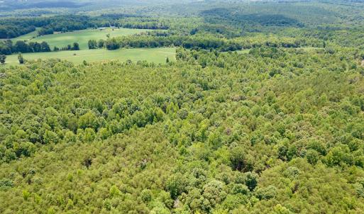 Photo #37 of SOLD property in 1074 Coon Trail, South Boston, VA 253.0 acres