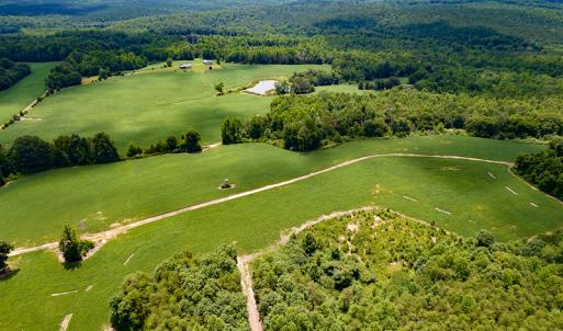 Photo #38 of SOLD property in 1074 Coon Trail, South Boston, VA 253.0 acres