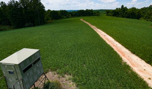 Photo #39 of SOLD property in 1074 Coon Trail, South Boston, VA 253.0 acres
