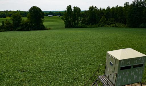Photo #40 of SOLD property in 1074 Coon Trail, South Boston, VA 253.0 acres