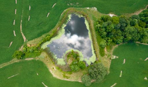 Photo #43 of SOLD property in 1074 Coon Trail, South Boston, VA 253.0 acres
