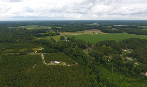 Photo #2 of SOLD property in Off Lee Road, Gibson, NC 13.7 acres