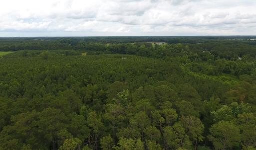 Photo #7 of SOLD property in Off Lee Road, Gibson, NC 13.7 acres