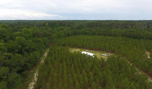 Photo #8 of SOLD property in Off Lee Road, Gibson, NC 13.7 acres