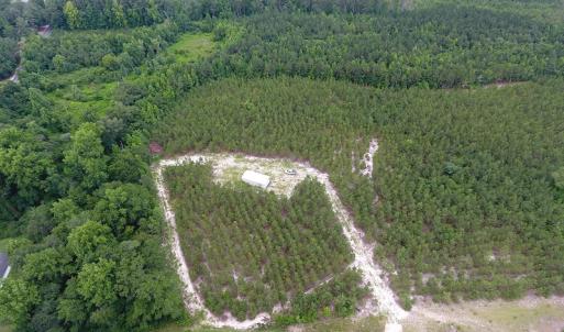 Photo #9 of SOLD property in Off Lee Road, Gibson, NC 13.7 acres