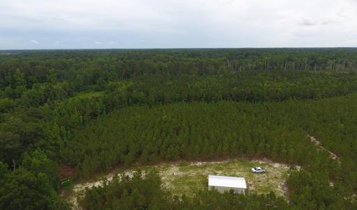 Photo #10 of SOLD property in Off Lee Road, Gibson, NC 13.7 acres