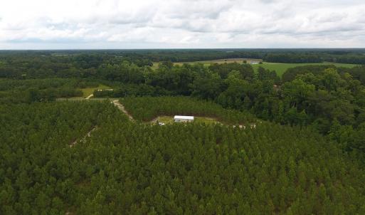 Photo #12 of SOLD property in Off Lee Road, Gibson, NC 13.7 acres