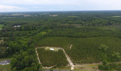 Photo #13 of SOLD property in Off Lee Road, Gibson, NC 13.7 acres