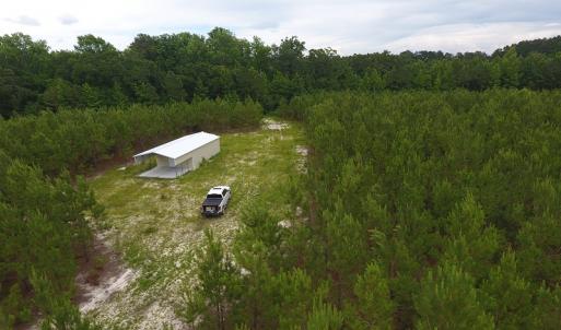 Photo #15 of SOLD property in Off Lee Road, Gibson, NC 13.7 acres