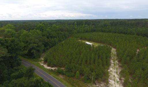 Photo #4 of SOLD property in Off Lee Road, Gibson, NC 13.7 acres