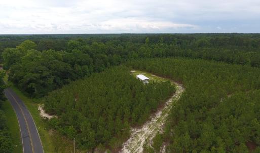 Photo #5 of SOLD property in Off Lee Road, Gibson, NC 13.7 acres
