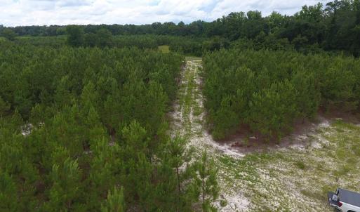 Photo #6 of SOLD property in Off Lee Road, Gibson, NC 13.7 acres