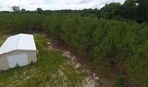 Photo #19 of SOLD property in Off Lee Road, Gibson, NC 13.7 acres