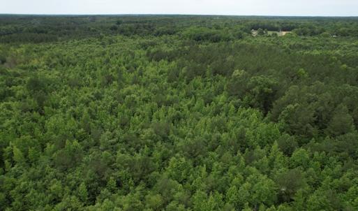 Photo #10 of SOLD property in Off Old Stage Road, Dinwiddie, VA 107.0 acres