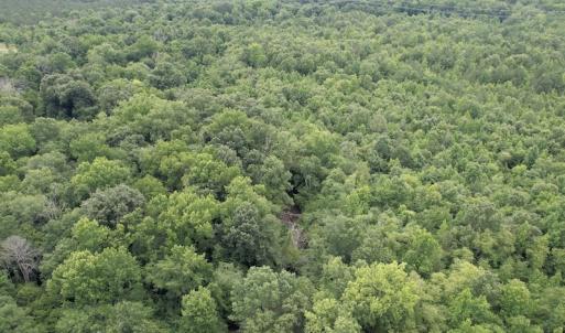 Photo #11 of SOLD property in Off Old Stage Road, Dinwiddie, VA 107.0 acres