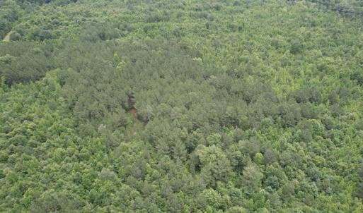 Photo #12 of SOLD property in Off Old Stage Road, Dinwiddie, VA 107.0 acres