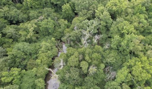 Photo #14 of SOLD property in Off Old Stage Road, Dinwiddie, VA 107.0 acres