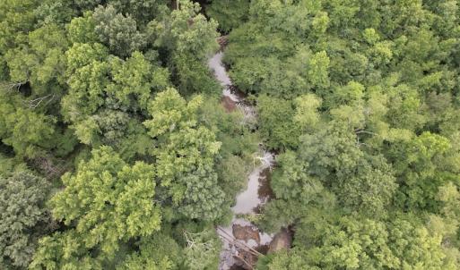 Photo #16 of SOLD property in Off Old Stage Road, Dinwiddie, VA 107.0 acres