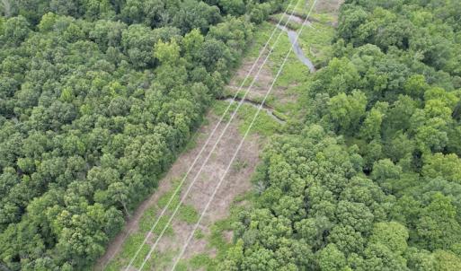 Photo #18 of SOLD property in Off Old Stage Road, Dinwiddie, VA 107.0 acres