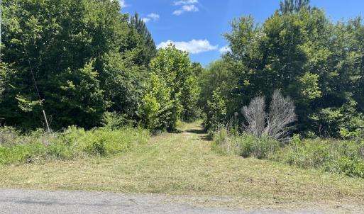 Photo #19 of SOLD property in Off Old Stage Road, Dinwiddie, VA 107.0 acres