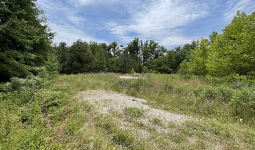 Photo #21 of SOLD property in Off Old Stage Road, Dinwiddie, VA 107.0 acres