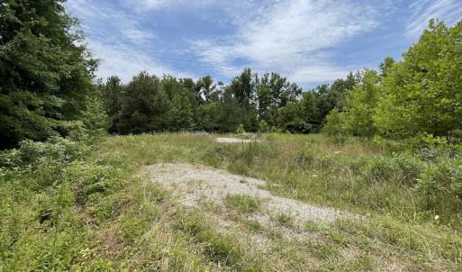 Photo #21 of SOLD property in Off Old Stage Road, Dinwiddie, VA 107.0 acres