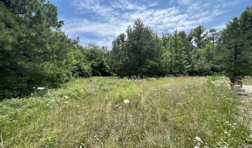 Photo #22 of SOLD property in Off Old Stage Road, Dinwiddie, VA 107.0 acres