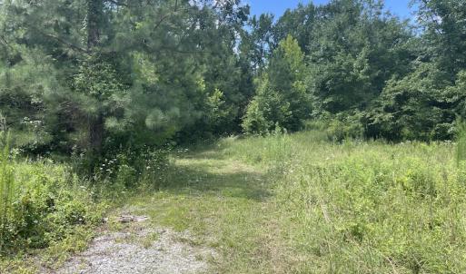 Photo #24 of SOLD property in Off Old Stage Road, Dinwiddie, VA 107.0 acres