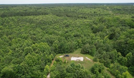 Photo #3 of SOLD property in Off Old Stage Road, Dinwiddie, VA 107.0 acres