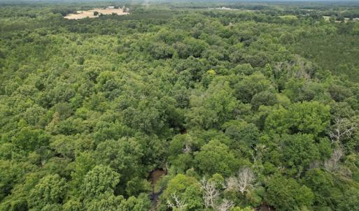 Photo #6 of SOLD property in Off Old Stage Road, Dinwiddie, VA 107.0 acres
