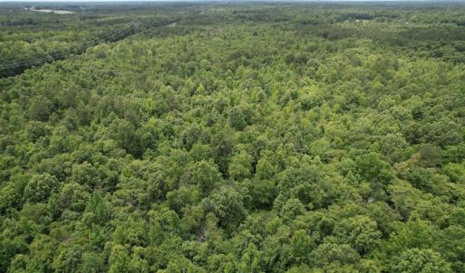 Photo #7 of SOLD property in Off Old Stage Road, Dinwiddie, VA 107.0 acres