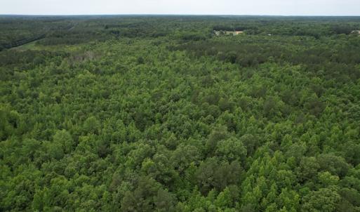 Photo #8 of SOLD property in Off Old Stage Road, Dinwiddie, VA 107.0 acres