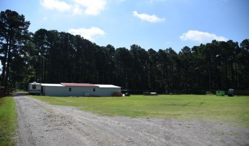 Photo #3 of SOLD property in Off Bay City Road, Bayboro, NC 352.0 acres