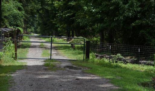 Photo #2 of SOLD property in Off Bay City Road, Bayboro, NC 352.0 acres