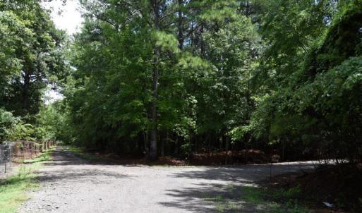 Photo #7 of SOLD property in Off Bay City Road, Bayboro, NC 352.0 acres