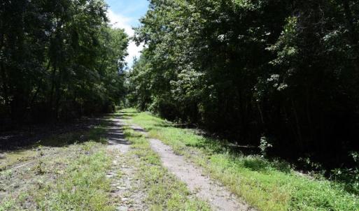 Photo #9 of SOLD property in Off Bay City Road, Bayboro, NC 352.0 acres