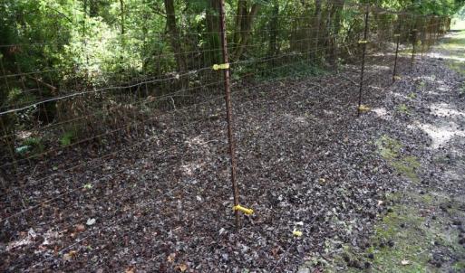 Photo #10 of SOLD property in Off Bay City Road, Bayboro, NC 352.0 acres