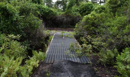 Photo #12 of SOLD property in Off Bay City Road, Bayboro, NC 352.0 acres