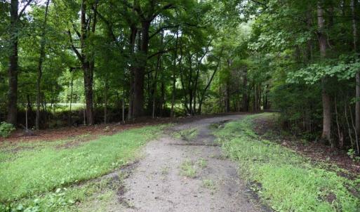 Photo #14 of SOLD property in Off Bay City Road, Bayboro, NC 352.0 acres
