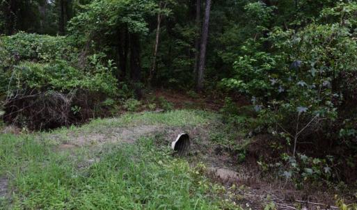 Photo #15 of SOLD property in Off Bay City Road, Bayboro, NC 352.0 acres