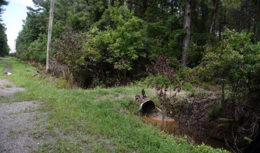 Photo #16 of SOLD property in Off Bay City Road, Bayboro, NC 352.0 acres