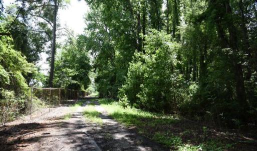 Photo #17 of SOLD property in Off Bay City Road, Bayboro, NC 352.0 acres