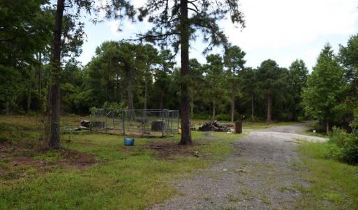 Photo #18 of SOLD property in Off Bay City Road, Bayboro, NC 352.0 acres